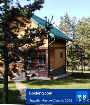 Vila ZLATNI BOR Zlatibor